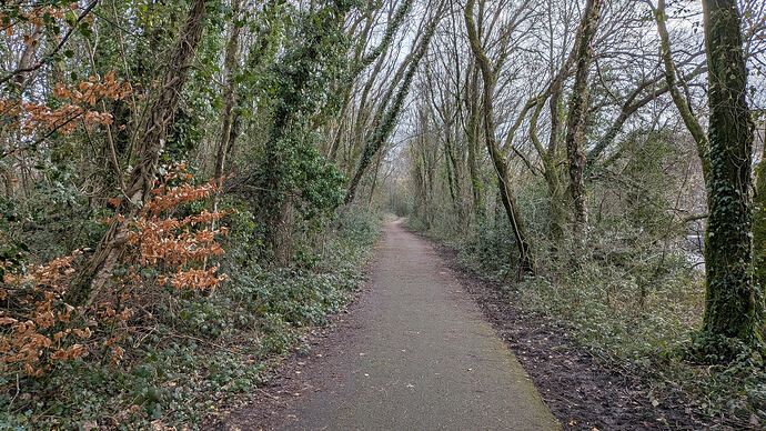 PXL_20260302_104139751