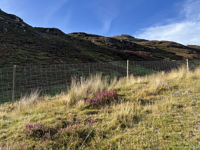 Creag na Ciche from other side of valley