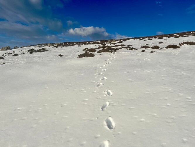 Footprints