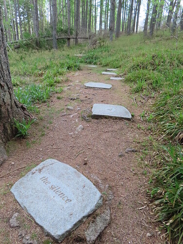 the silence of the woodland is the sound of birdsong