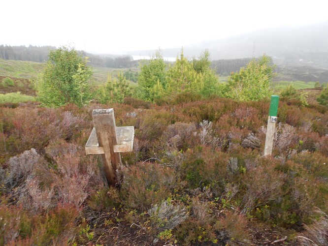 CS100 DUN COILLICH, 15-06-24 (29)