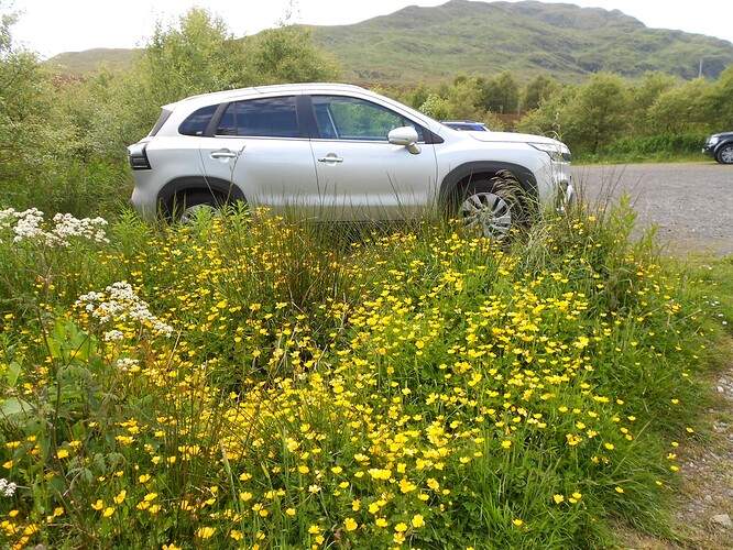 CS15 MEALL nan TARMACHAN, 19-06-23 (100)