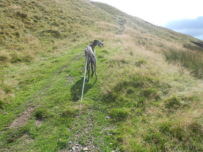 NP8 Gt Whernside-FINN,22-08-26 (9)