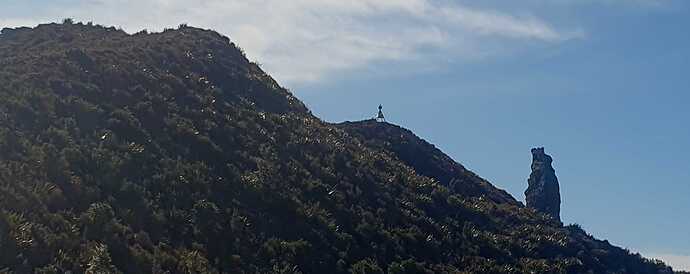 20250830_110707-cropped