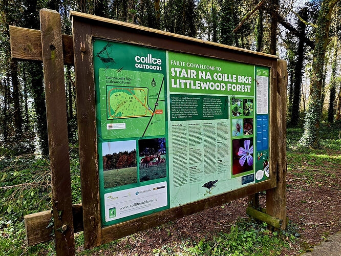 d20916ce-2bfc-484a-951c-a21d73c6383e