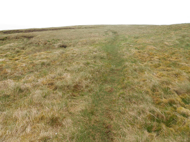 NP16 Dodd Fell, 29-05-26 (8)