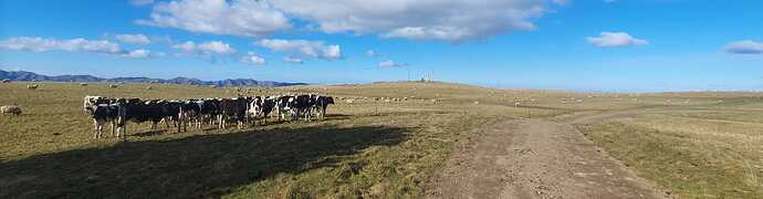 20250831_144659-cropped