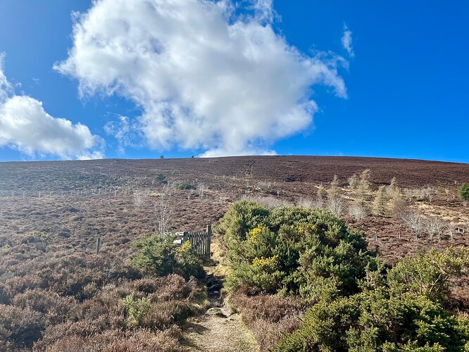 Knock Hill