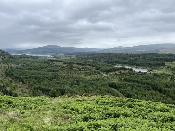 Ascending Craignell