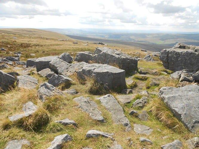 NP8 Gt Whernside-FINN,22-08-26 (19)