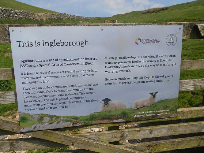NP7 Ingleborough, 27-05-26 (2)