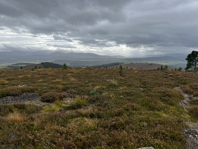 GM/CS-112 Beinn Mhor with some of the scattered trees already planted