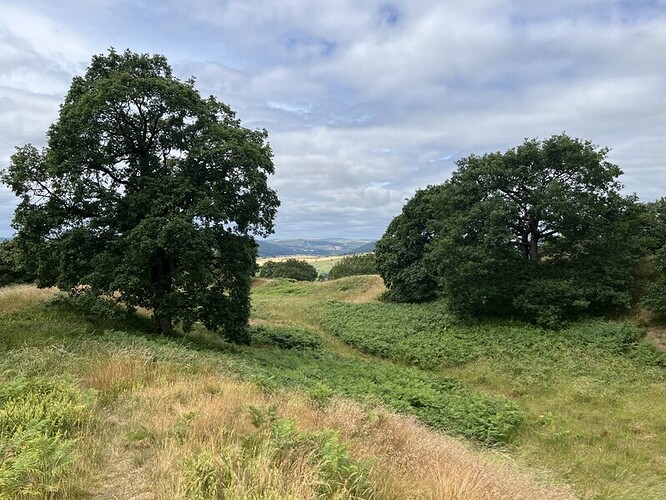 G/WB-014 Burrow summit and hillfort views