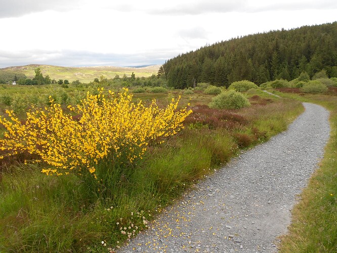 CS5 SCHIEHALLION, 17-06-24 (71)