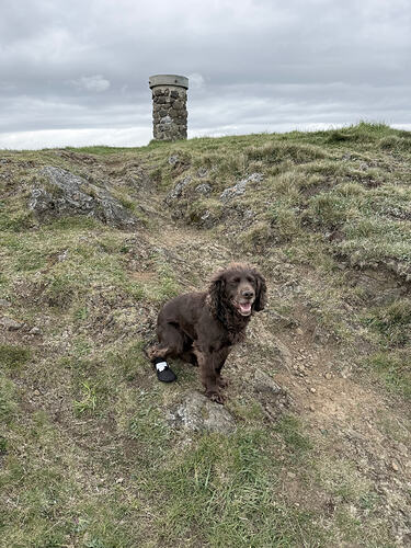 IMG_0862