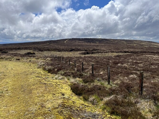Roan Fell from Hartsgarth Fell