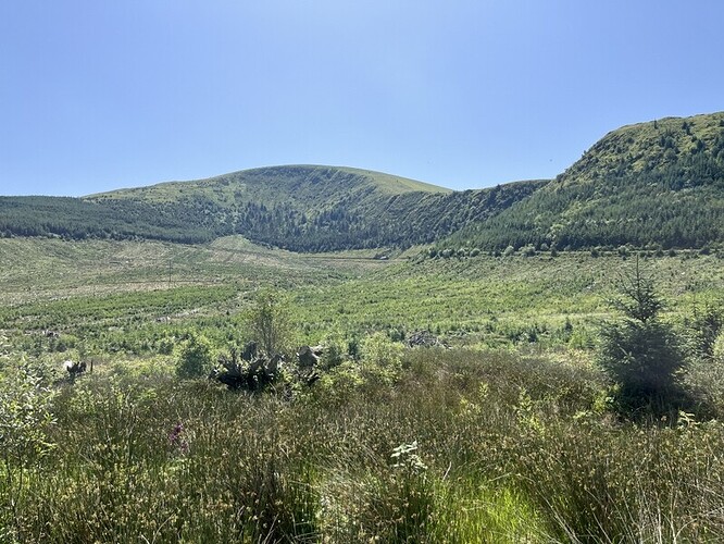 Tarrenhendre - a summit too far