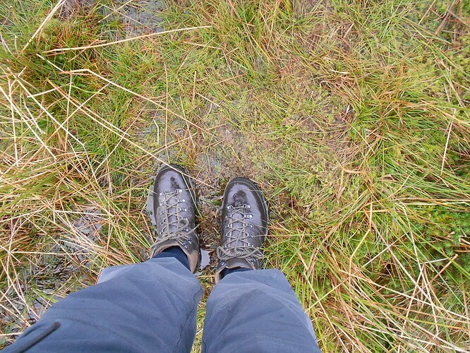 NP26 KISDON on HF, 21-10-25 (20)