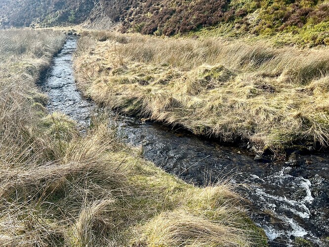 Stream crossing again