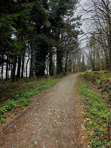 a27da147-e94e-4ef2-b66d-fb9ef77e35eb