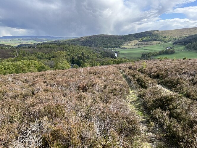 Ascending Lord Arthur's Hill