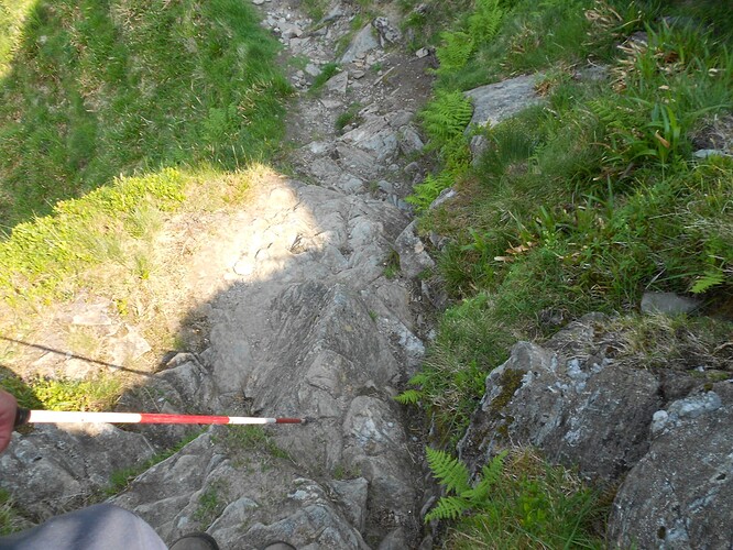 SS18-6,Beinn an Lochain,12-06-23 (71)