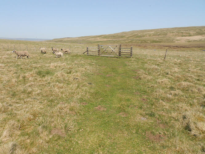 NP18 Nine Standards Rigg, 25-05-26 (4)