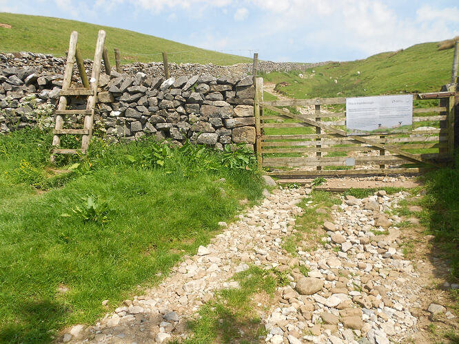 NP7 Ingleborough, 27-05-26 (1)