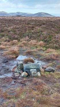 GM7STP-GMSS-167-Photo-08