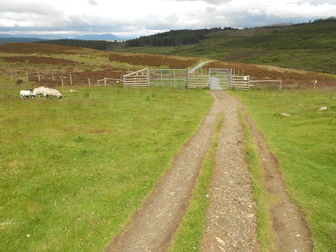 CS5 SCHIEHALLION, 17-06-24 (68)