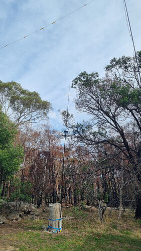 Hourglass antenna with blackened trees in background and HF linked dipole above.