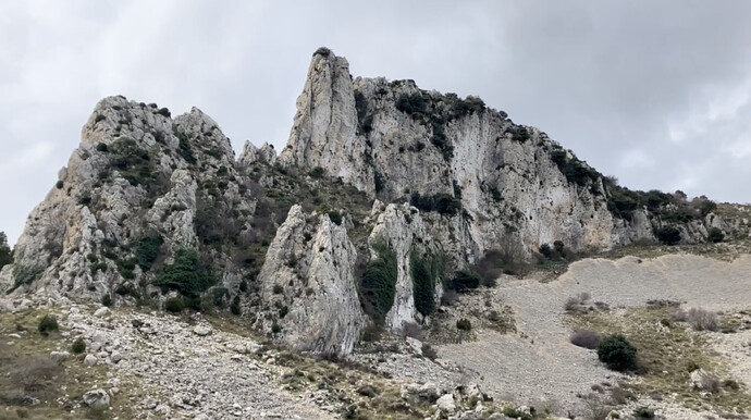 Screenshot 2026-02-07 at 10.42.59