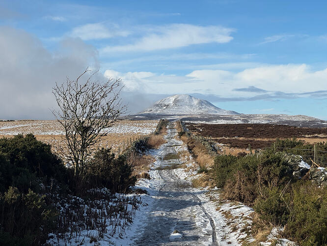View to West Lomond along the direct track between the two hills