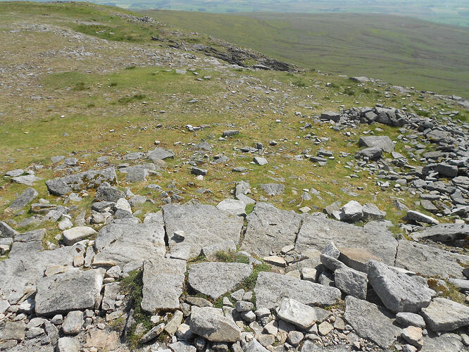 NP7 Ingleborough, 27-05-26 (41)