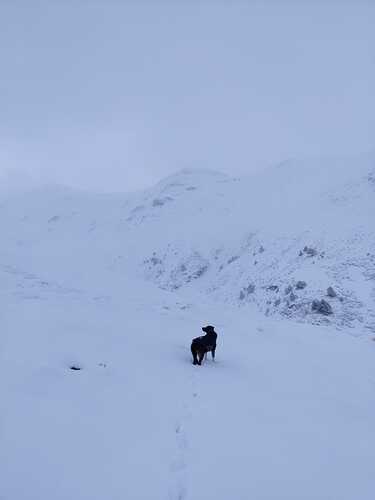 branca-nieve