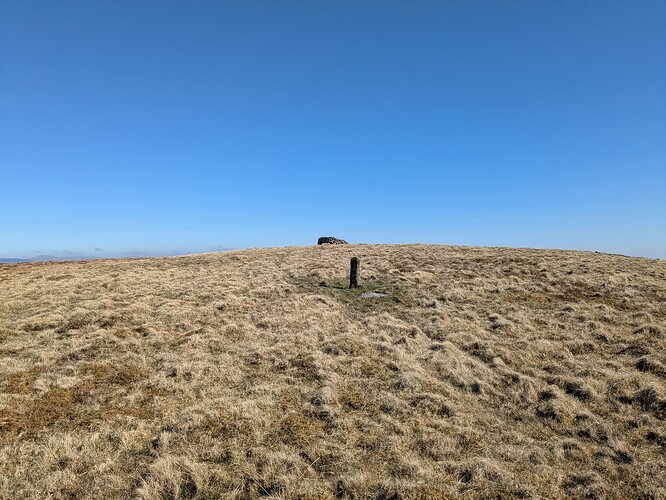 PXL_20250405_101459332