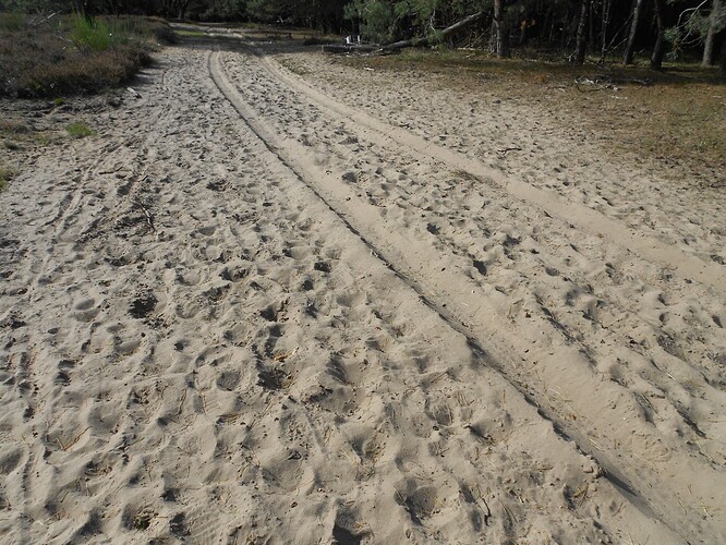 PA6 Signaal Imbosch SOLO, 24-09-25 (15)