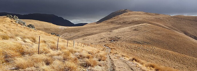 20250907_155933-crop