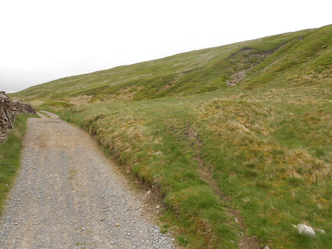 NP16 Dodd Fell, 29-05-26 (5)