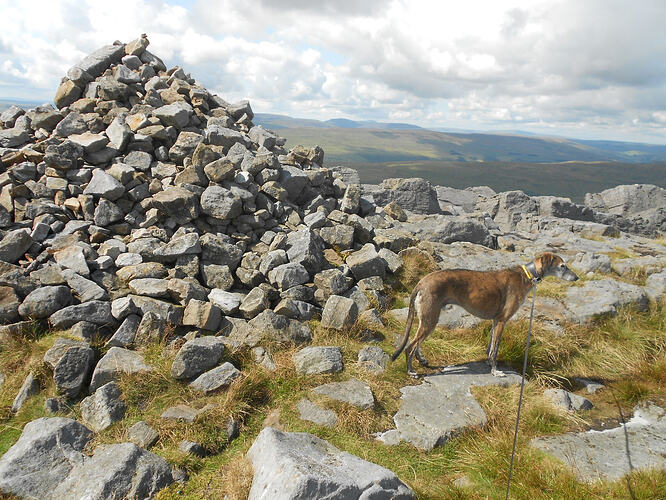 NP8 Gt Whernside-FINN,22-08-26 (17)