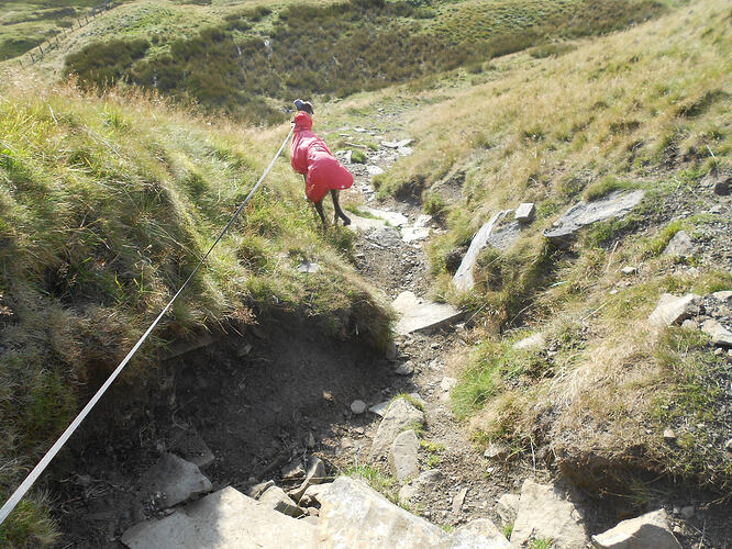 NP8 Gt Whernside-FINN,22-08-26 (48)