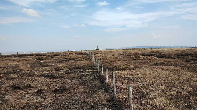 IMG_20250412_132747879 (copy)