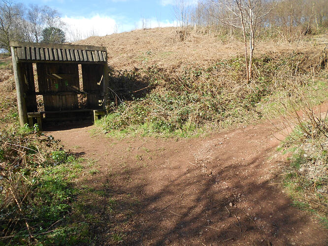 CE2 Walton Hill, 26-03-26 (3)