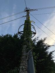 telegraph pole cables