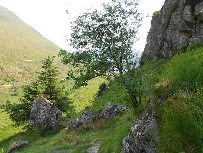 SS18-6,Beinn an Lochain,12-06-23 (87)