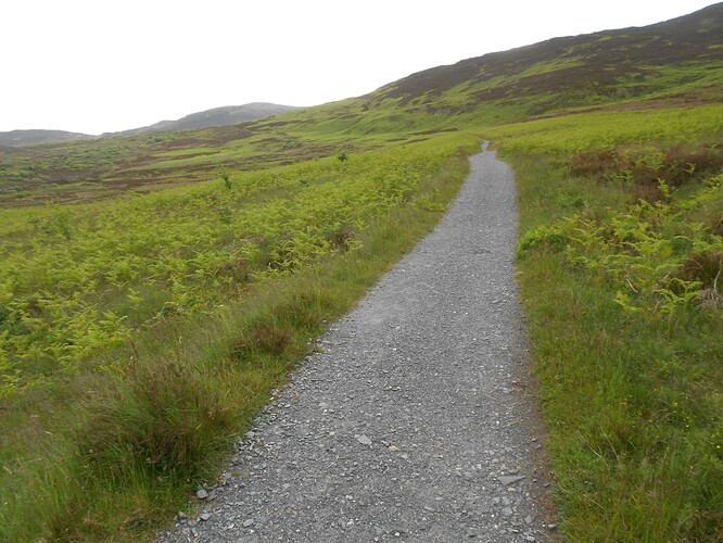 CS5 SCHIEHALLION, 17-06-24 (7)