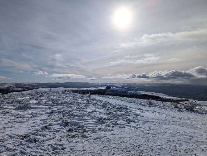 PXL_20260214_120533154