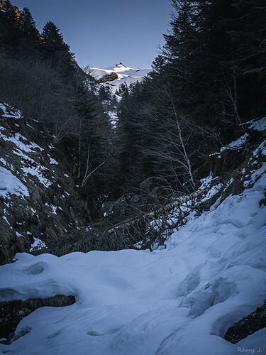 Target Summit: A snowy peak rises from the forest.