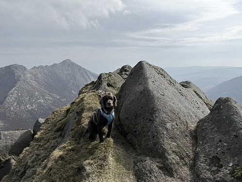 96865496-54B1-45CA-964C-A843DFD54094_1_105_c