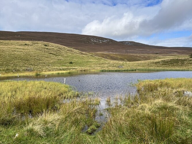 Pond